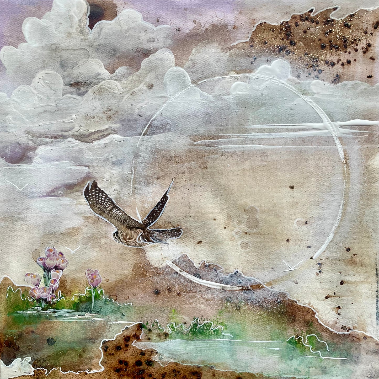 Quand reviendront les crocus 🌷